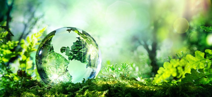 ecosystem_sustainability