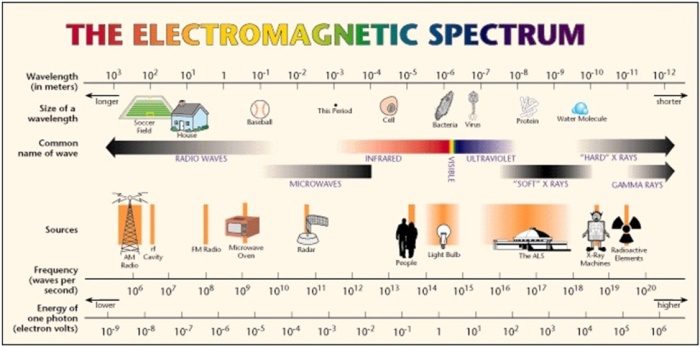 EMG_spectrum